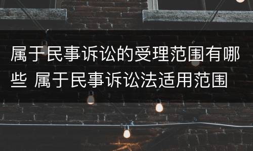 属于民事诉讼的受理范围有哪些 属于民事诉讼法适用范围