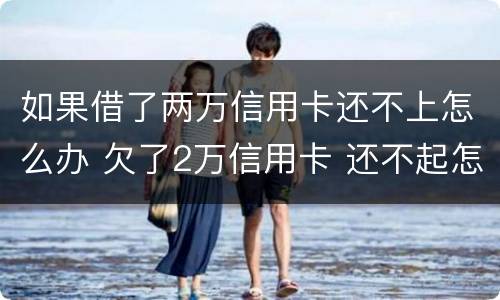 如果借了两万信用卡还不上怎么办 欠了2万信用卡 还不起怎么办