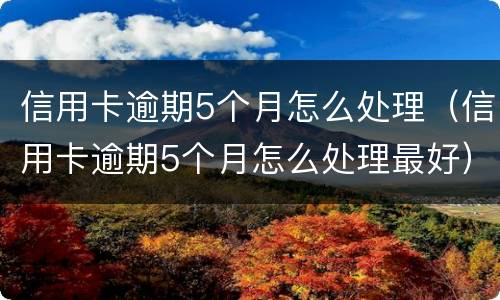 信用卡逾期5个月怎么处理（信用卡逾期5个月怎么处理最好）
