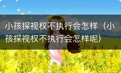 小孩探视权不执行会怎样（小孩探视权不执行会怎样呢）