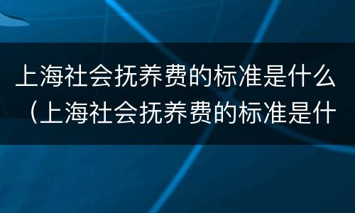 上海社会抚养费的标准是什么（上海社会抚养费的标准是什么啊）