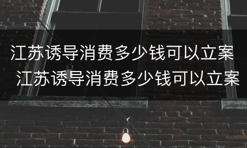 江苏诱导消费多少钱可以立案 江苏诱导消费多少钱可以立案追诉