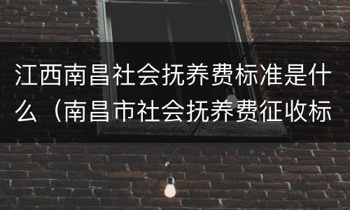江西南昌社会抚养费标准是什么（南昌市社会抚养费征收标准）