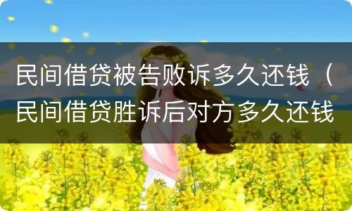 民间借贷被告败诉多久还钱（民间借贷胜诉后对方多久还钱）