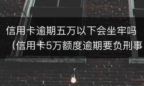 信用卡逾期五万以下会坐牢吗（信用卡5万额度逾期要负刑事责任吗）