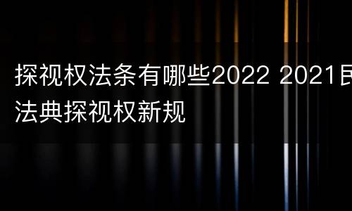 探视权法条有哪些2022 2021民法典探视权新规
