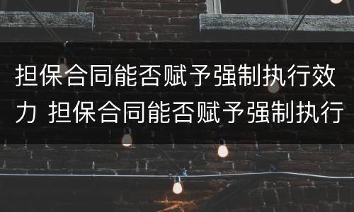担保合同能否赋予强制执行效力 担保合同能否赋予强制执行效力的条款