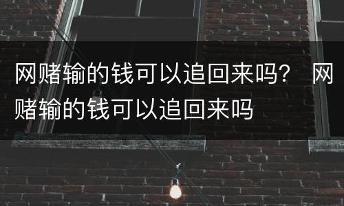 网赌输的钱可以追回来吗？ 网赌输的钱可以追回来吗