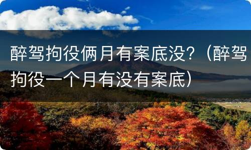 醉驾拘役俩月有案底没?（醉驾拘役一个月有没有案底）