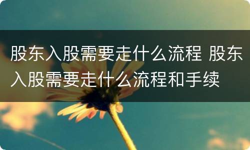 股东入股需要走什么流程 股东入股需要走什么流程和手续
