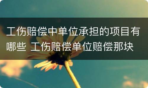 工伤赔偿中单位承担的项目有哪些 工伤赔偿单位赔偿那块