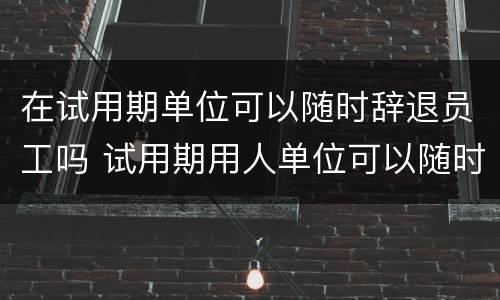 在试用期单位可以随时辞退员工吗 试用期用人单位可以随时辞退员工吗