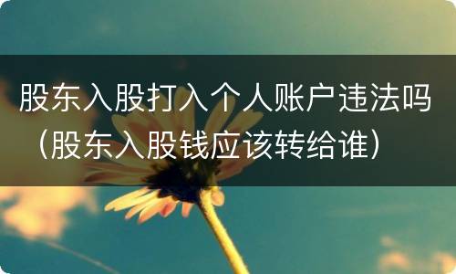 股东入股打入个人账户违法吗（股东入股钱应该转给谁）