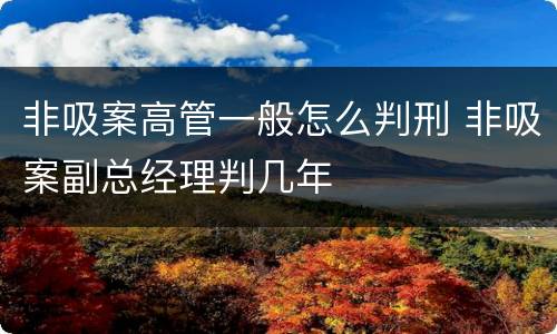 非吸案高管一般怎么判刑 非吸案副总经理判几年