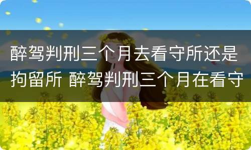 醉驾判刑三个月去看守所还是拘留所 醉驾判刑三个月在看守所挨打吗