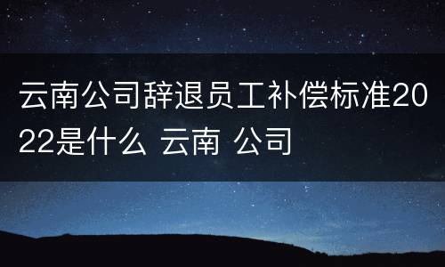 云南公司辞退员工补偿标准2022是什么 云南 公司