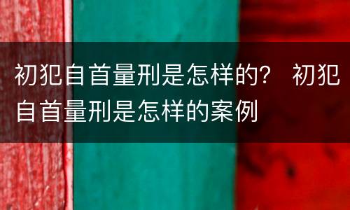 初犯自首量刑是怎样的？ 初犯自首量刑是怎样的案例