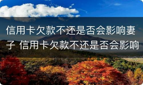 信用卡欠款不还是否会影响妻子 信用卡欠款不还是否会影响妻子政审