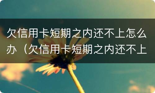 欠信用卡短期之内还不上怎么办（欠信用卡短期之内还不上怎么办呢）
