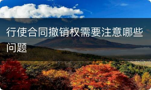 行使合同撤销权需要注意哪些问题