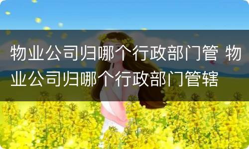 物业公司归哪个行政部门管 物业公司归哪个行政部门管辖