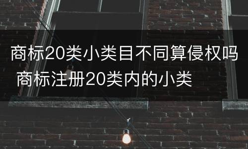 商标20类小类目不同算侵权吗 商标注册20类内的小类