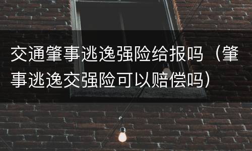 交通肇事逃逸强险给报吗（肇事逃逸交强险可以赔偿吗）