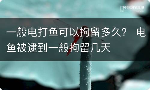 一般电打鱼可以拘留多久？ 电鱼被逮到一般拘留几天