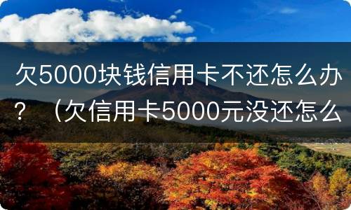 欠5000块钱信用卡不还怎么办？（欠信用卡5000元没还怎么办）