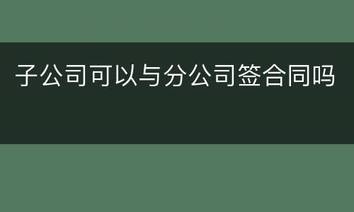 子公司可以与分公司签合同吗