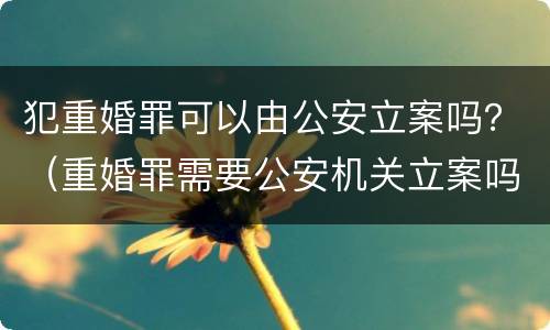 犯重婚罪可以由公安立案吗？（重婚罪需要公安机关立案吗）