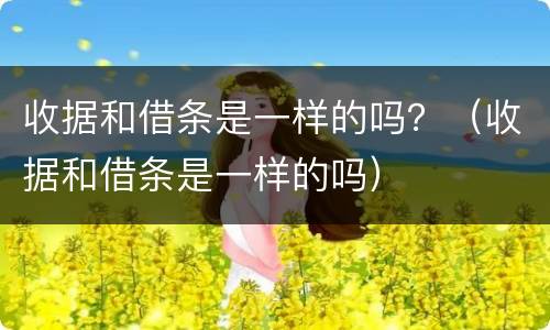 收据和借条是一样的吗？（收据和借条是一样的吗）