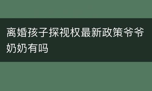 离婚孩子探视权最新政策爷爷奶奶有吗