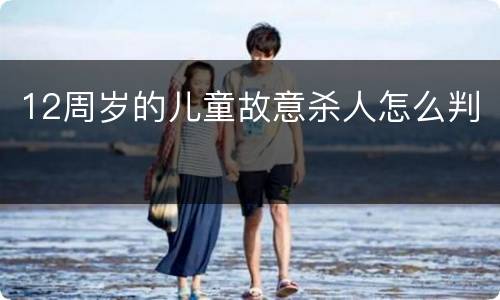 12周岁的儿童故意杀人怎么判
