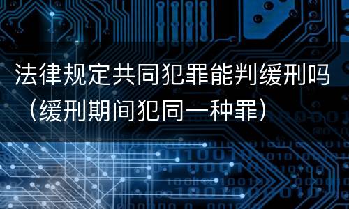 法律规定共同犯罪能判缓刑吗（缓刑期间犯同一种罪）
