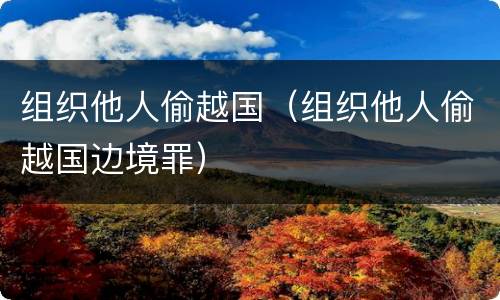组织他人偷越国（组织他人偷越国边境罪）
