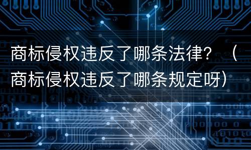商标侵权违反了哪条法律？（商标侵权违反了哪条规定呀）
