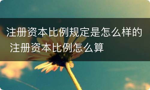 注册资本比例规定是怎么样的 注册资本比例怎么算