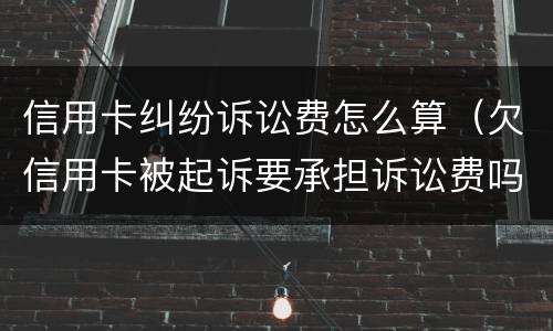 信用卡纠纷诉讼费怎么算（欠信用卡被起诉要承担诉讼费吗）