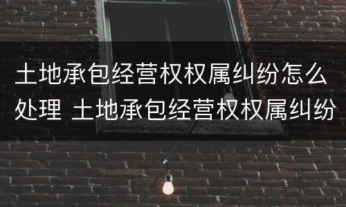 土地承包经营权权属纠纷怎么处理 土地承包经营权权属纠纷怎么处理的