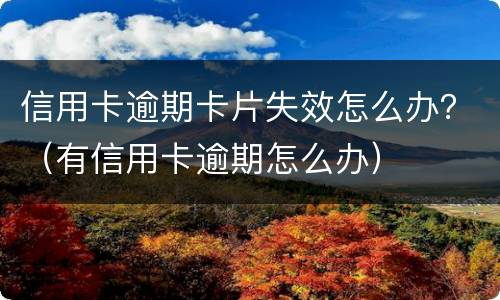 信用卡逾期卡片失效怎么办？（有信用卡逾期怎么办）