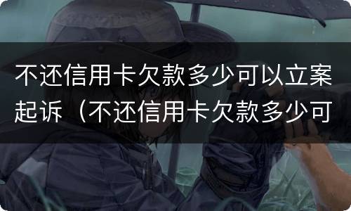 不还信用卡欠款多少可以立案起诉（不还信用卡欠款多少可以立案起诉对方）
