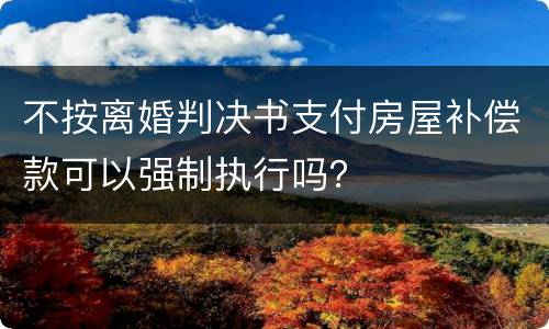 不按离婚判决书支付房屋补偿款可以强制执行吗？