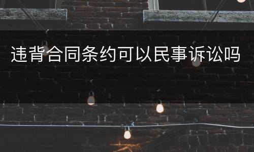 违背合同条约可以民事诉讼吗