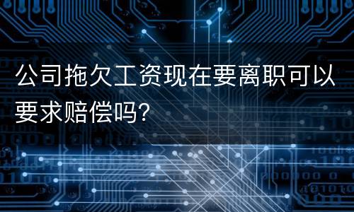 公司拖欠工资现在要离职可以要求赔偿吗？
