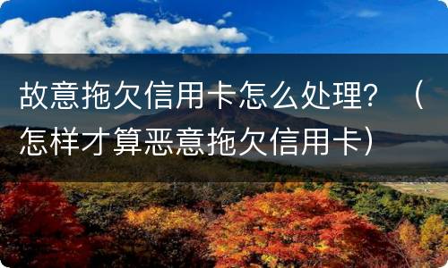 故意拖欠信用卡怎么处理？（怎样才算恶意拖欠信用卡）