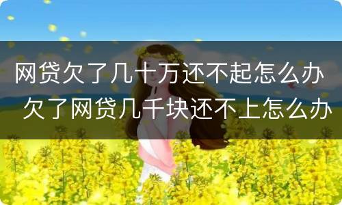 网贷欠了几十万还不起怎么办 欠了网贷几千块还不上怎么办