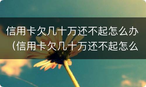 信用卡欠几十万还不起怎么办（信用卡欠几十万还不起怎么办呀）