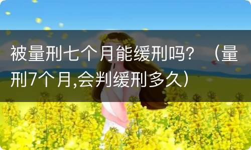 被量刑七个月能缓刑吗？（量刑7个月,会判缓刑多久）