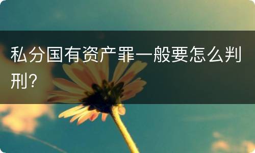 私分国有资产罪一般要怎么判刑?